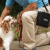 Belluscura X-PLOR Portable Concentrator walking puppy