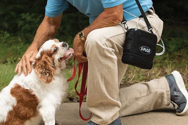 Belluscura X-PLOR Portable Concentrator walking puppy